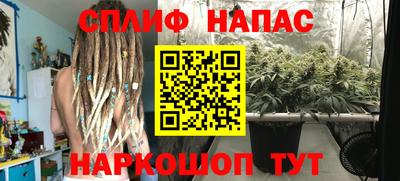 дмт Севастополь