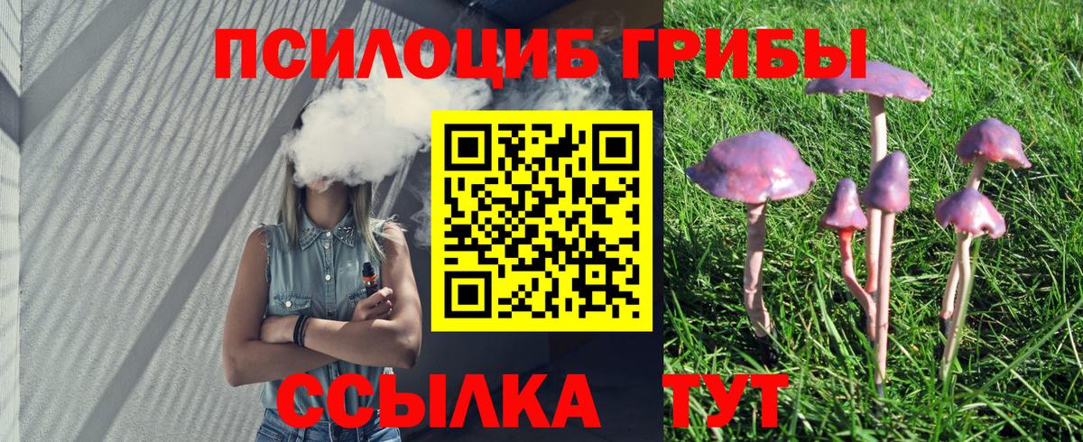 Псилоцибиновые грибы GOLDEN TEACHER Арсеньев