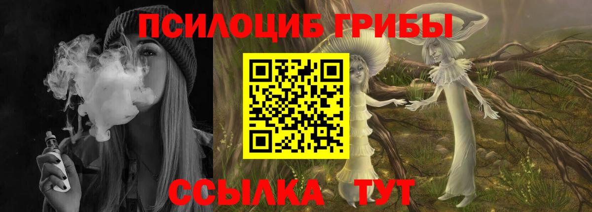 Арсеньев  Галлюциногенные грибы GOLDEN TEACHER  где продают наркотики  Вход с VPN 